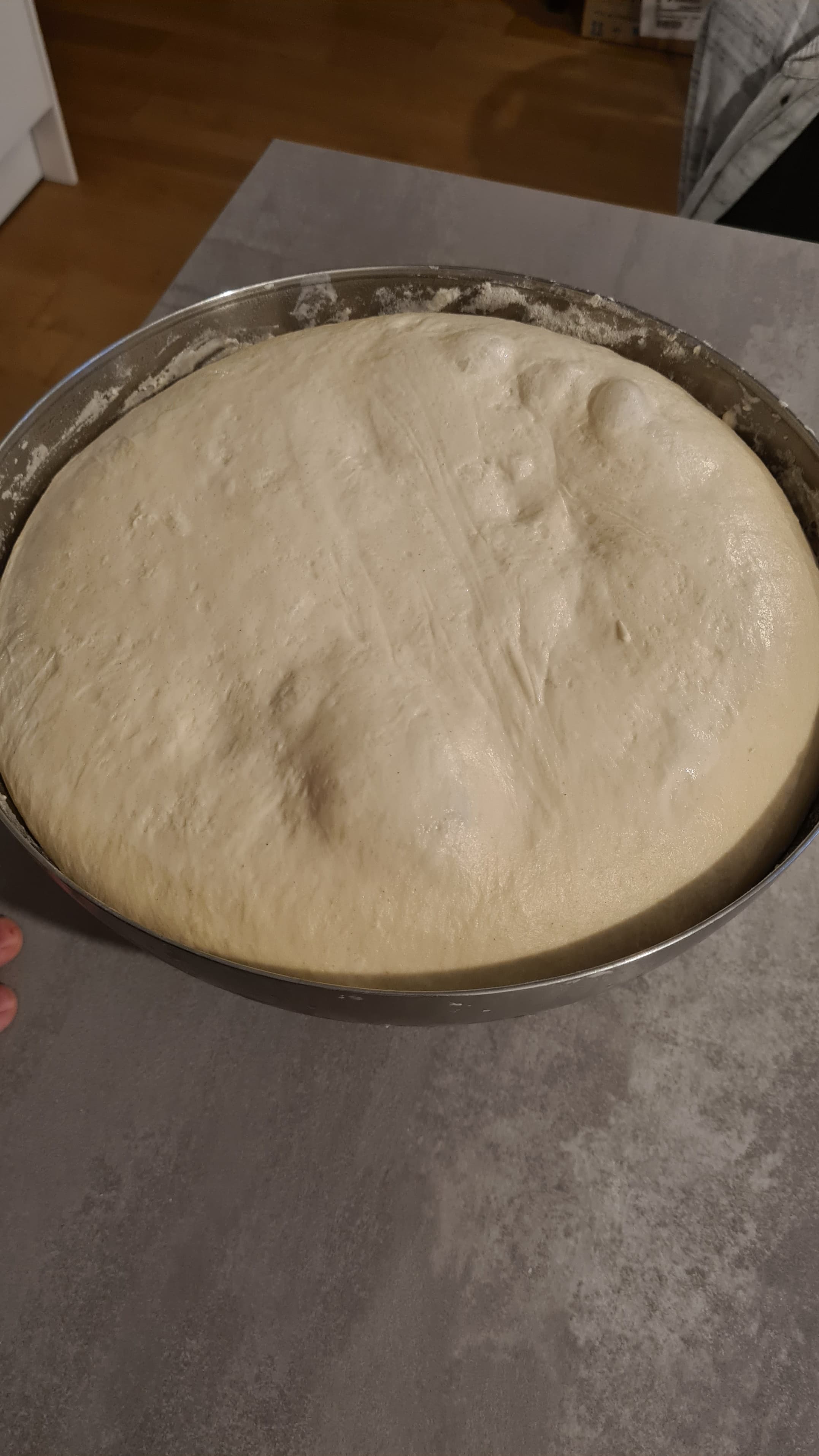 Pizza Dough – Poolish Method, 70% Hydration Milk Version (72h fermentation) Recipe Image