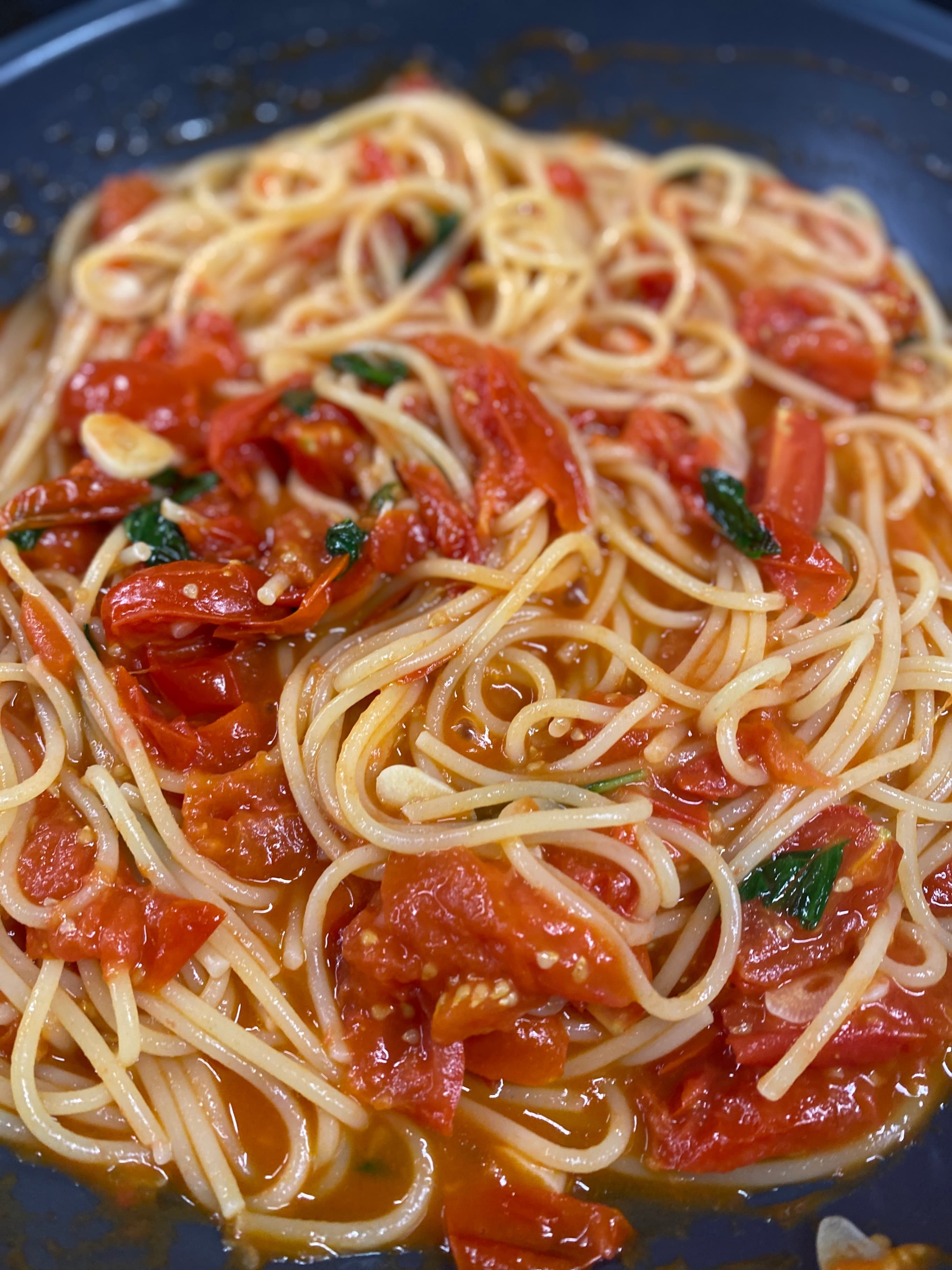Pasta Pomodoro with Burrata Recipe Image