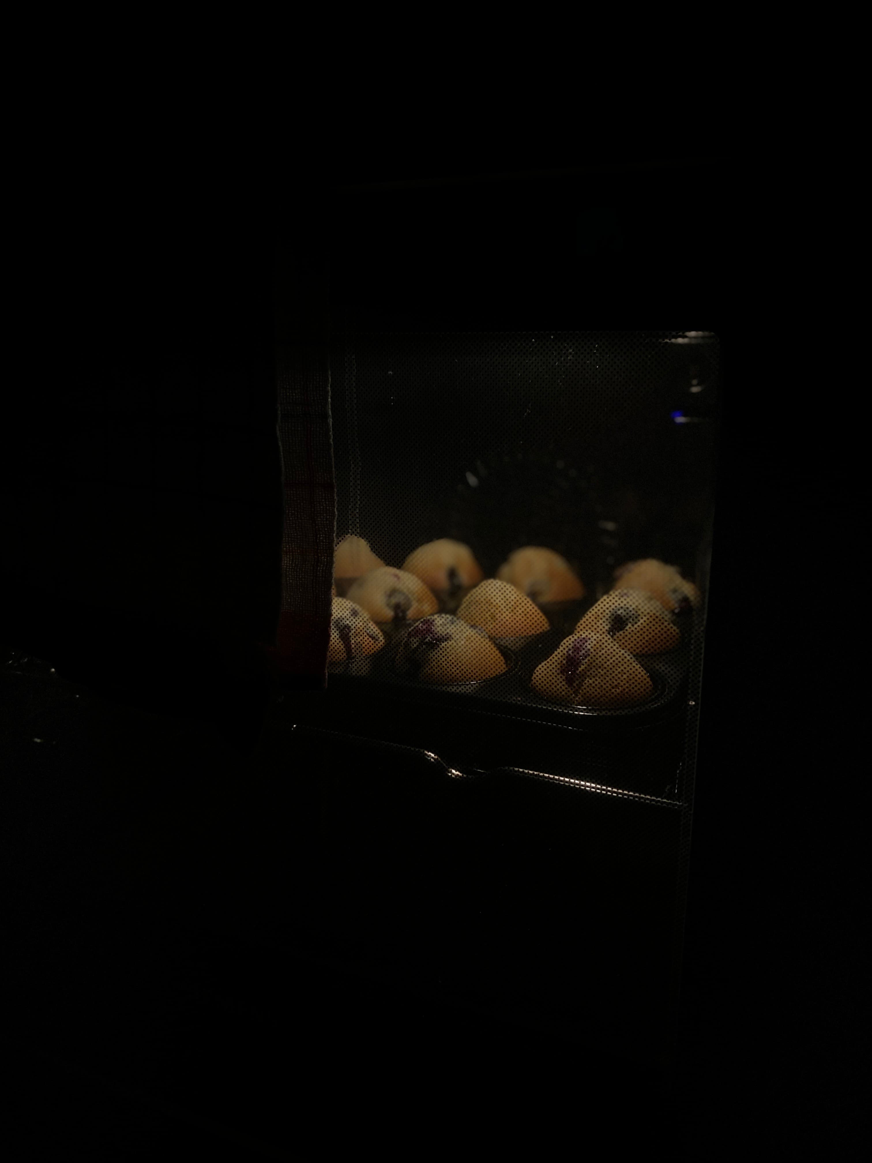 Blueberry Muffins Recipe Image