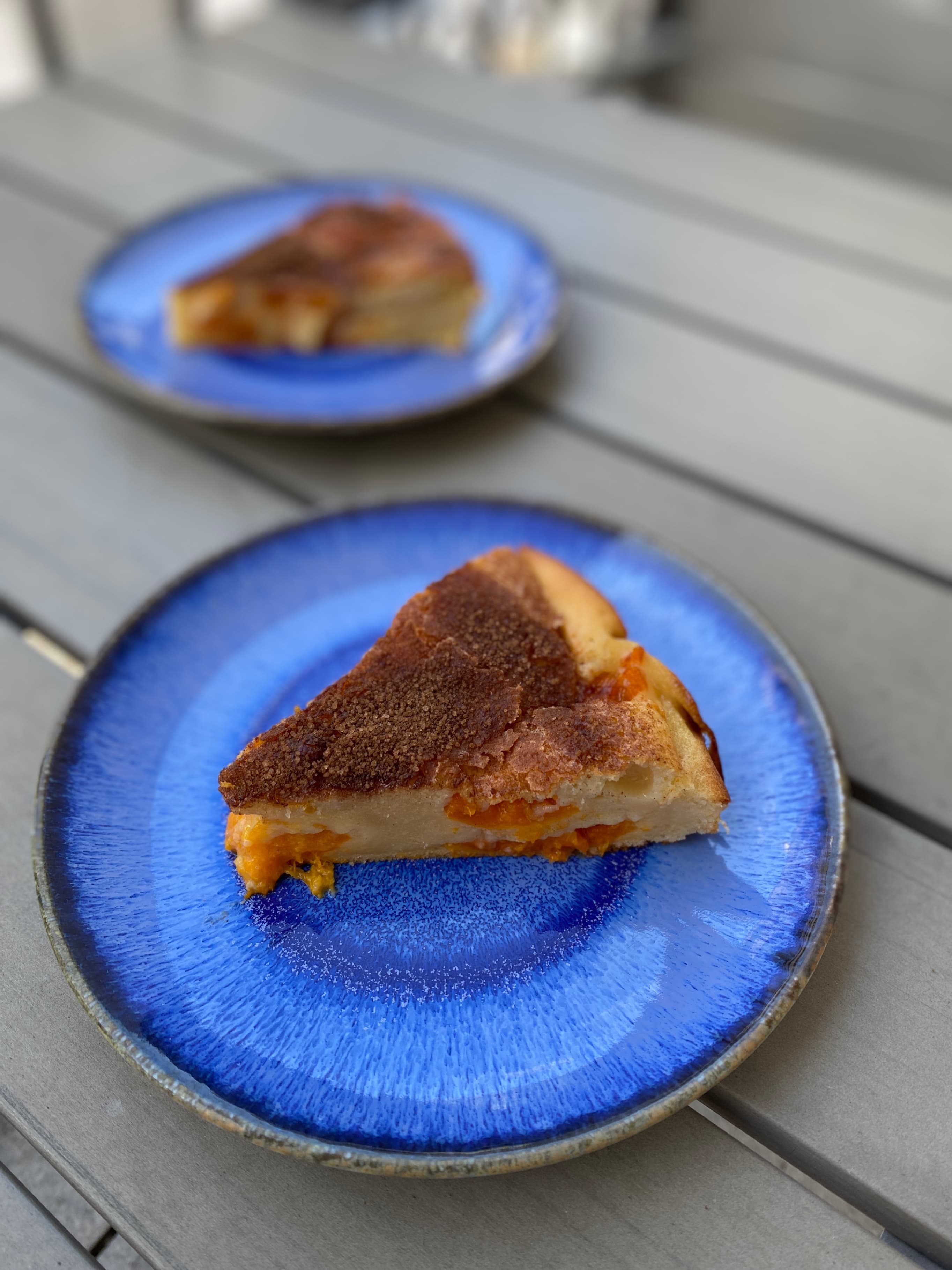 Apricot Cake Rocely Recipe