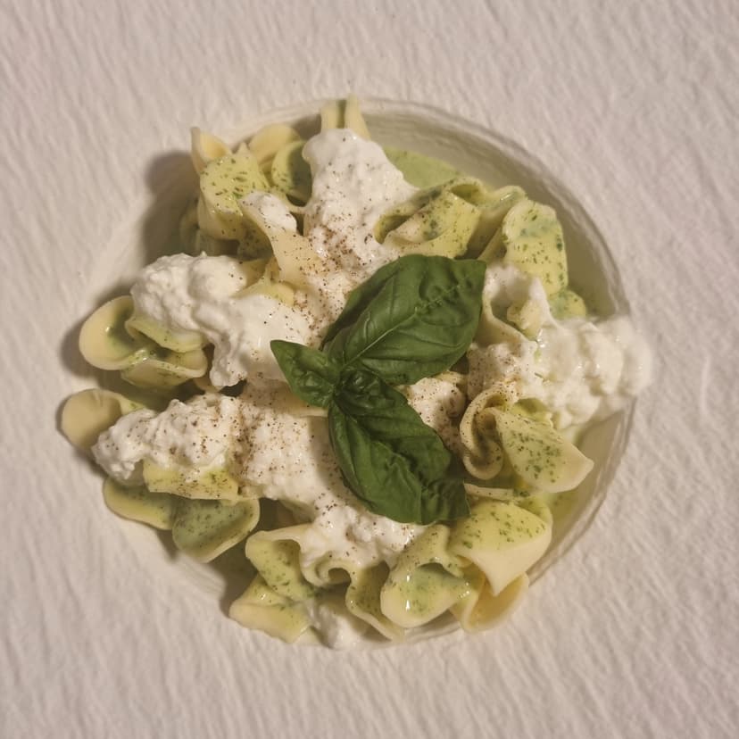 Creamy Aromatic Basil Sauce with Tortelloni Rocely Recipe