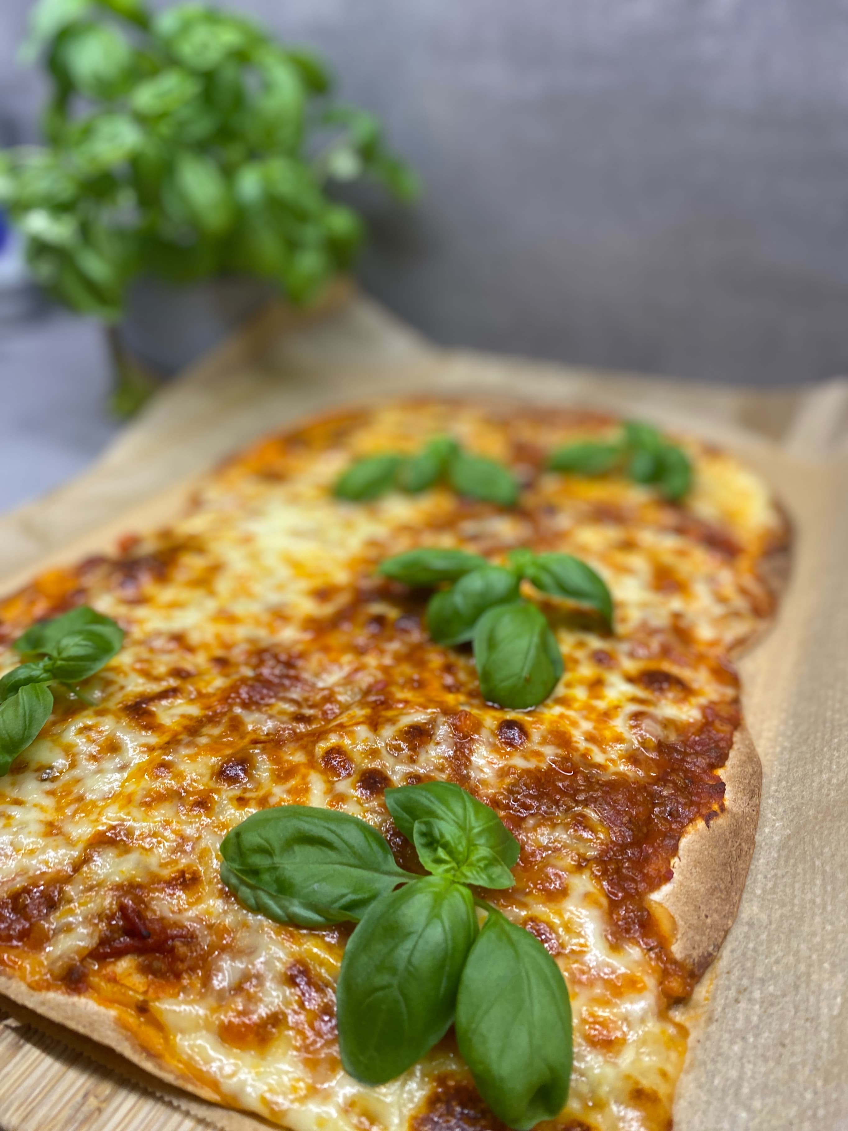 Easy Ragout Pizza with Burrito Wraps Recipe Image